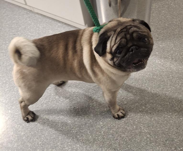 Foto pořídila MP Příbor