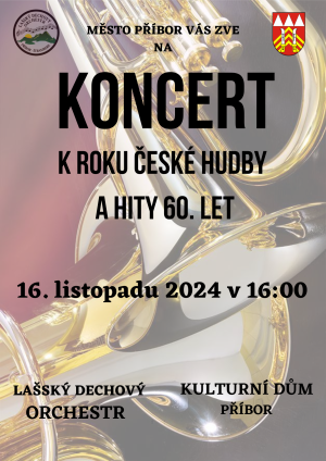 Koncert k roku české hudby